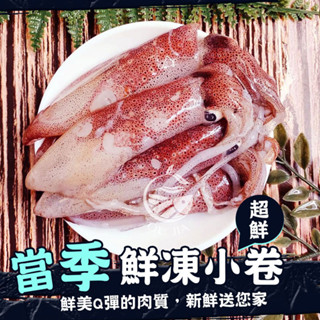 臺灣當季鮮凍小卷-300g/盒【歐嘉水產】蝦幣10倍送 全家冷凍799免運 餐廳供應 批發