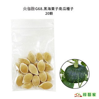 大包裝G68.黑海栗子南瓜種子20顆 板栗南瓜 栗子南瓜 南瓜 F1生長強勢 低溫生長旺盛 產量高 香氣濃【綠藝家】