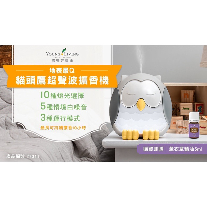 悠樂芳Young living 貓頭鷹超聲波水氧機 超細分子 不易發霉 潮濕地帶也適合