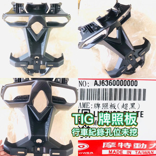 PGO摩特動力 TIG TIG170 牌照板 TIG169 TIG180 牌照 TIG牌照板 擋泥板 車殼 後土除