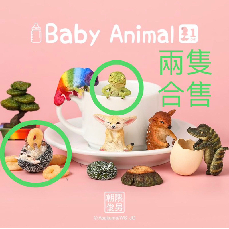 全新僅拆封確認款式｜盒玩｜朝隈俊男 Baby Animal 第一彈 變色龍 刺蝟 研達YANDAR