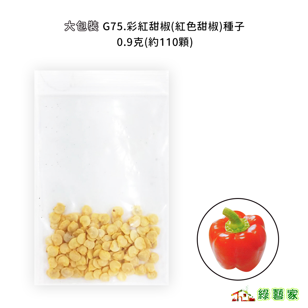 大包裝G75.彩紅甜椒(紅色甜椒)種子0.9克(約110顆) F1 燈籠型朱紅色果 甜度高 果型大 肉厚【綠藝家】