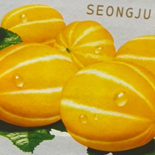 請聊聊明年見【韓國原裝 糖果香瓜】 5KG裝16顆 香甜多汁