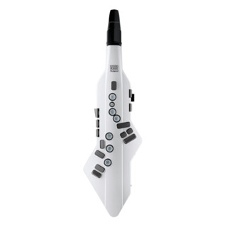 【傑夫樂器行】 Roland AE-05C 電子吹管 含國樂音色 Aerophone GO 原廠公司貨 一年保固