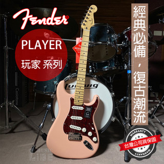『限量配色』Fender LTD Player Stratocaster MN SHP 電吉他 公司貨