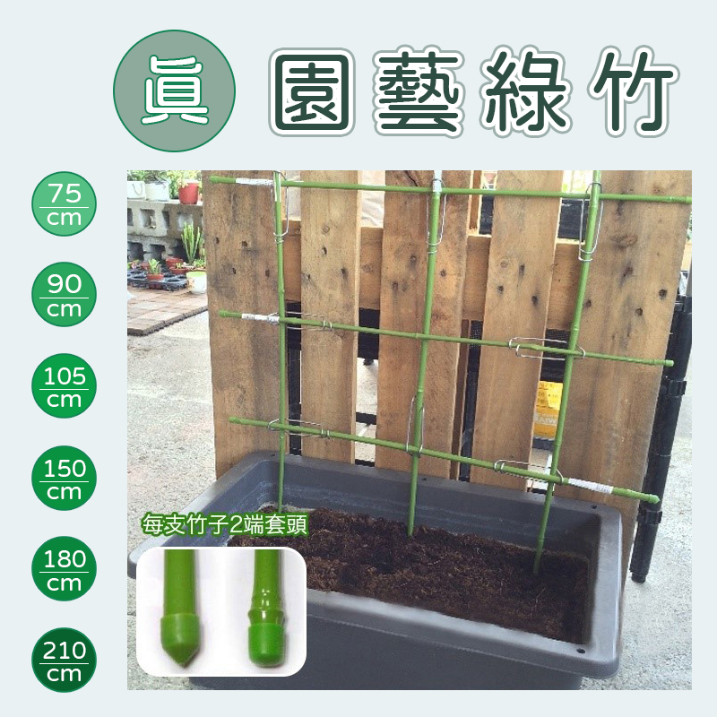 【全館590免運】園藝綠竹(5支/組) 植物支撐 玫瑰、各種樹苗 爬藤植物支架 包覆塑膠膜更耐用