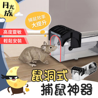 [自動上鎖] 鼠洞式捕鼠器 抓老鼠神器 老鼠籠子 捕鼠瓶 捕鼠 鼠籠 滅鼠器 捕鼠籠 捕鼠器