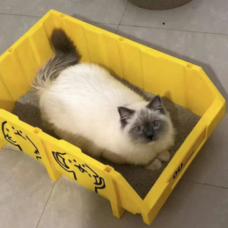 貓砂盆 超大號 巨大加高防外濺開放式貓砂盆 零件盒貓砂盆 貓貓用品 五金盒 貓廁所
