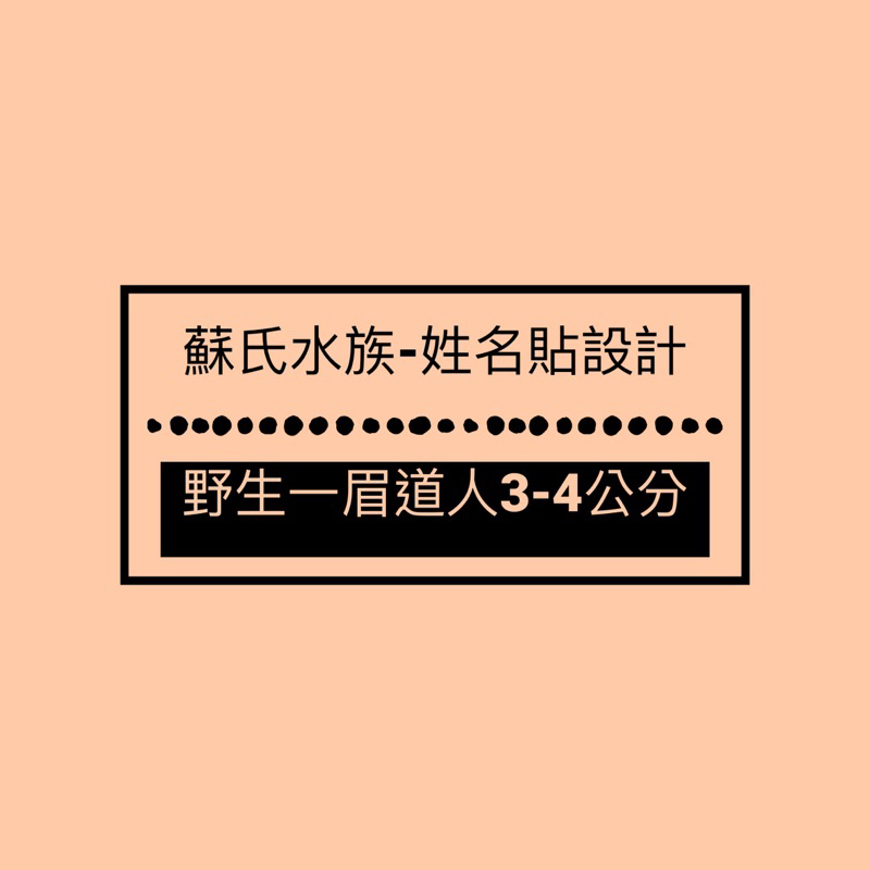 蘇氏水族-姓名貼設計 「野生一眉道人3-4公分」