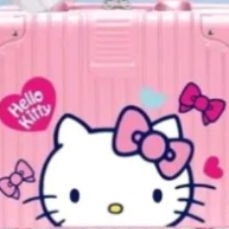 6吋 hello kitty 凱蒂貓 三麗鷗 行李箱  正版 行李袋 迪士尼 化妝箱 化妝包 角落生物