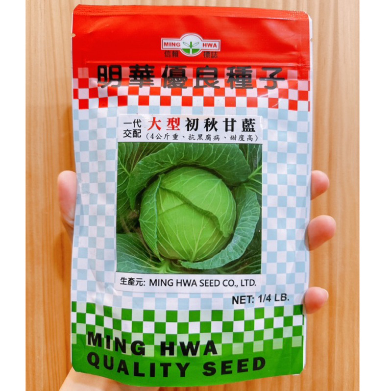 城禾農產🍃 大面積種植農戶 專業農用品種 大型初秋甘藍種子 30粒 大初秋種子 大高麗菜種子 大型高麗菜種子 高麗菜種子