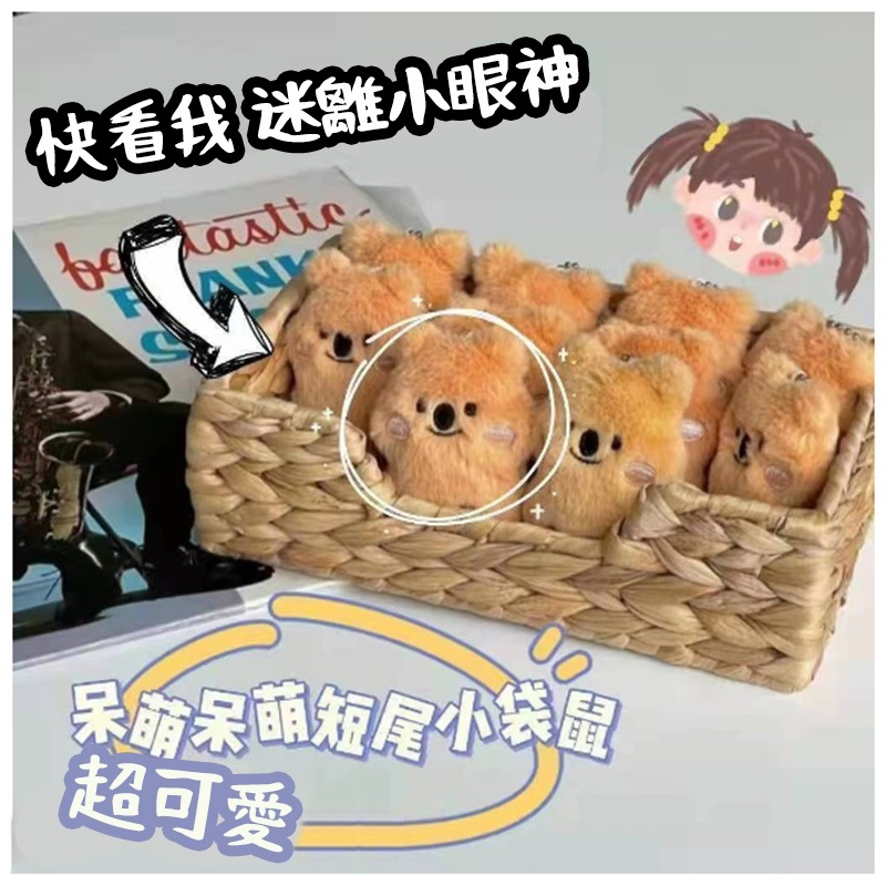 廢物專賣店 無尾熊吊飾 考拉鑰匙圈 韓國 考拉吊飾 小考拉吊飾 小考拉 書包包包情侶 毛絨掛飾 包包吊飾 生日禮物