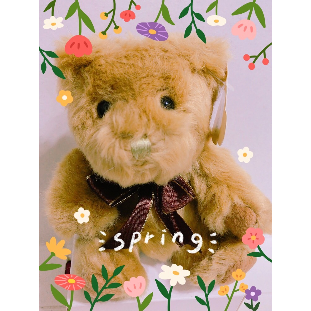 霖霖萬寶閣a650727a 娃 59 teddy bear 泰迪熊 SO GOOD 咖啡色蝴蝶結 熊 生日禮物交換禮物