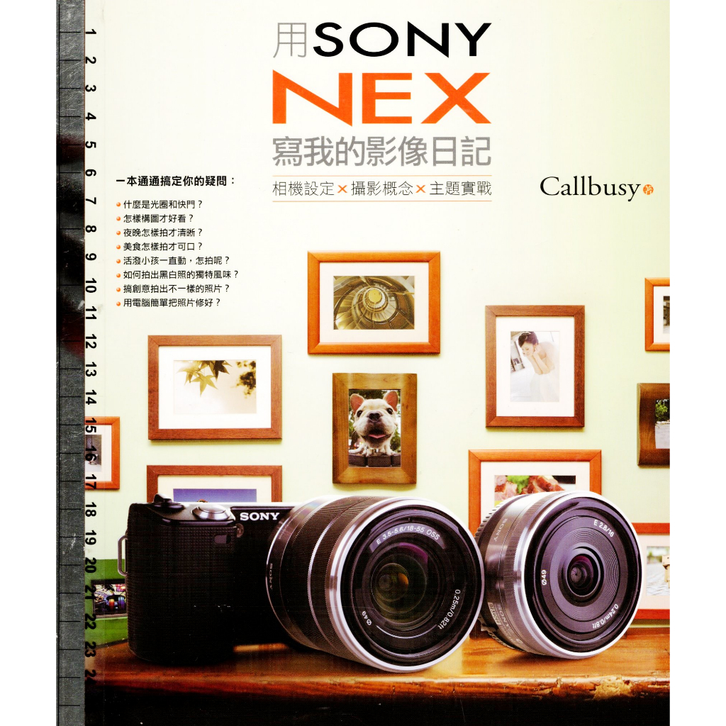 5t 2011年3月初版《用SONY NEX寫我的影像日記》Callbusy 木馬文化 9789861206257