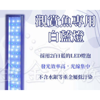 🎊🎊 UX 白藍跨燈 雅柏 最新版 寬版 白藍海水燈 寬11公分 海水燈 跨燈 LED燈 UX 白藍燈 UX 海水燈