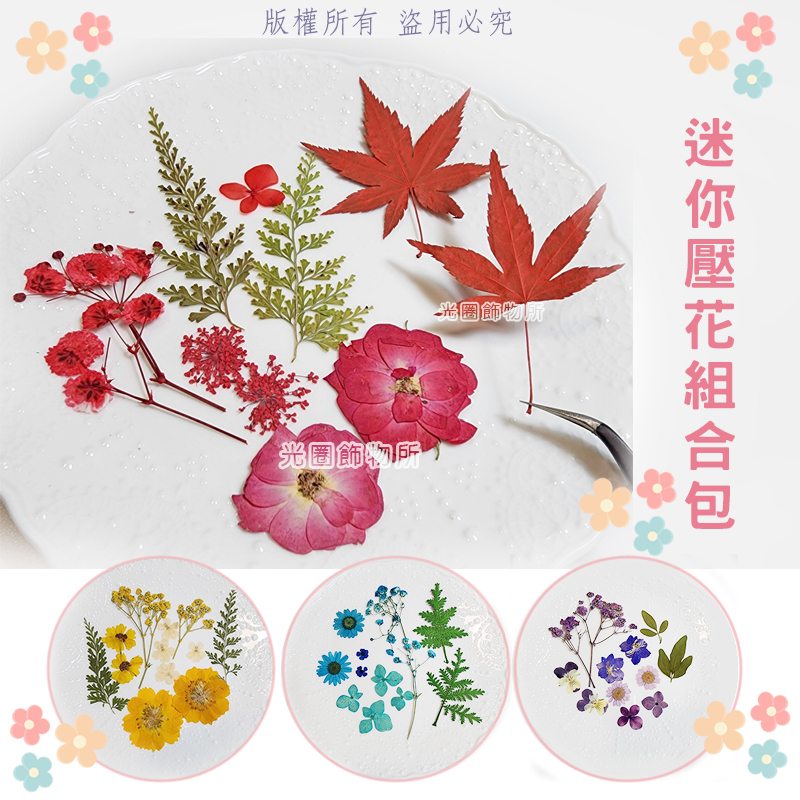 🔥🇹🇼 【台灣現貨】【光圈飾物所】迷你壓花組合包 押花材料 壓花