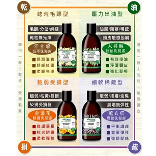 【黑棗小舖】(公司貨)德國alkmene歐珂蔓洗髮露250ml-淨化頭皮無矽靈洗髮精 薰衣草/金盞花/洋甘菊