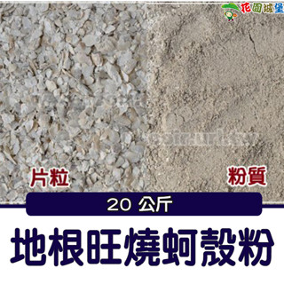 現貨-地根旺 燒蚵殼粉 灰 牡蠣殼粉 地根旺燒蚵殼粒 大粒 牡蠣殼粒 20kg 生物鈣製作 果樹類 蔬菜 草坪 花卉