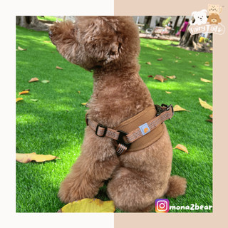 萌尾巴| Carhartt Dog Harness 美國潮牌 Carhartt 寵物胸背帶 寵物項圈