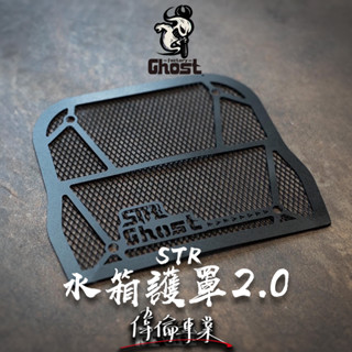 【偉倫精品零件】Ghost factory AEON STR水箱護網 水箱網 STR 宏佳騰 300