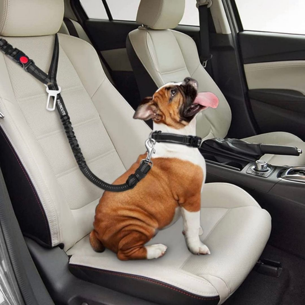 寵物安全繩 寵物汽車安全帶 固定毛孩 行車安全升級 固定愛犬活動空間 寵物車用安全扣 貓狗可用