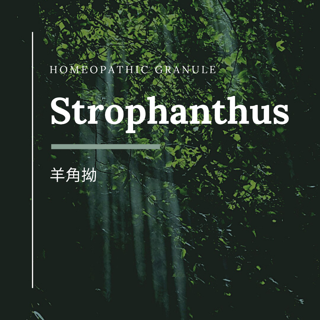 順勢糖球【Strophanthus】心輪虛弱／肌膚／酒精問題／女性親和／Homeopathic Granule