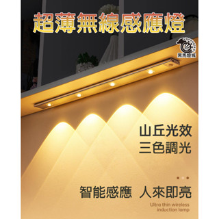 無線感應燈【黑馬燈城】臺灣現貨含發票【A515】燈條 智慧感應燈 led燈條衣櫃燈 櫥櫃燈走廊燈小夜燈 床可調光