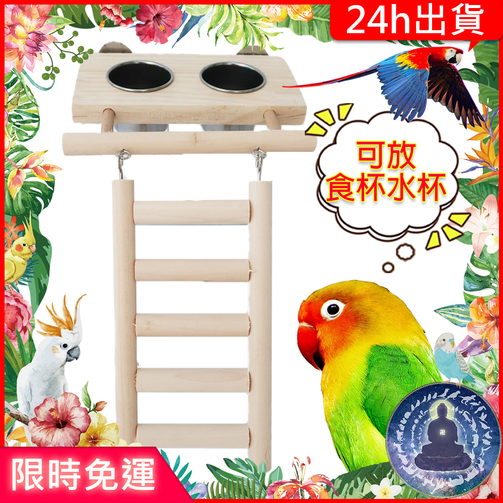 【寵物覺醒24h出貨】鸚鵡玩具爬梯樓梯夾杯喝水飲水飼料杯樓梯鸚鵡用品