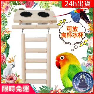 【寵物覺醒24h出貨】鸚鵡玩具爬梯樓梯夾杯喝水飲水飼料杯樓梯鸚鵡用品