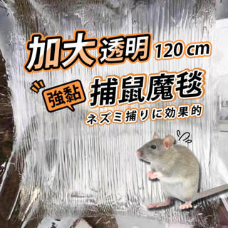 【今川選物】加大黏鼠板 捕鼠器 捕鼠 老鼠籠 老鼠 驅鼠 捕鼠神器 滅鼠 捕鼠籠 老鼠夾 抓老鼠 黏鼠 滅鼠神器 老鼠板
