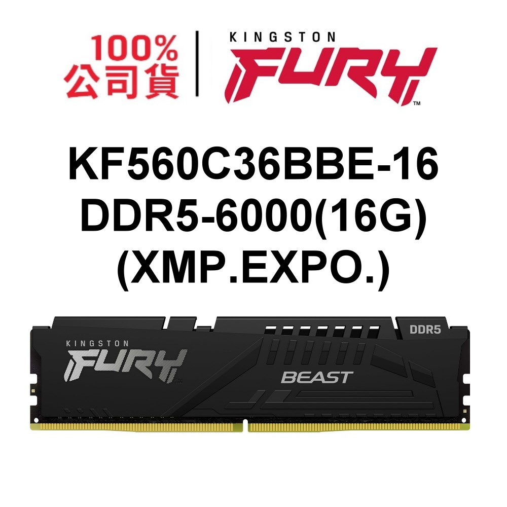 金士頓 KF560C36BBE-16 FURY Beast DDR5 6000 16G 16GB XMP EXPO