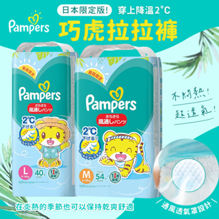 日本製Pampers幫寶適夏日巧虎拉拉褲 M / L 日本境內版 紙尿褲 兒童尿布