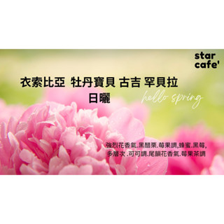 †星星咖啡† 衣索比亞 日曬 牡丹寶貝 古吉 罕貝拉