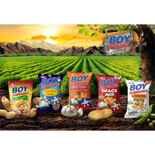 菲律賓 boy bawang 蒜香 香蒜 綜合豆 綜合 堅果 100g ksw food mixed nut
