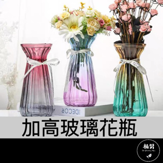 【植男】加高玻璃花瓶｜北歐風格 玻璃花瓶 鑽石玻璃 漸變花瓶 居家裝飾 水杯花瓶 水瓶 玻璃瓶 透明花瓶 花器