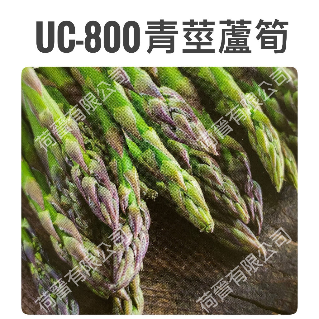 UC-800青莖蘆筍種子1.1公克(約50粒) 綠蘆筍種子