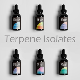 InnerTrip 純品萜烯精油 Terpenes Isolate 濃縮原液 / 居家香氛精油