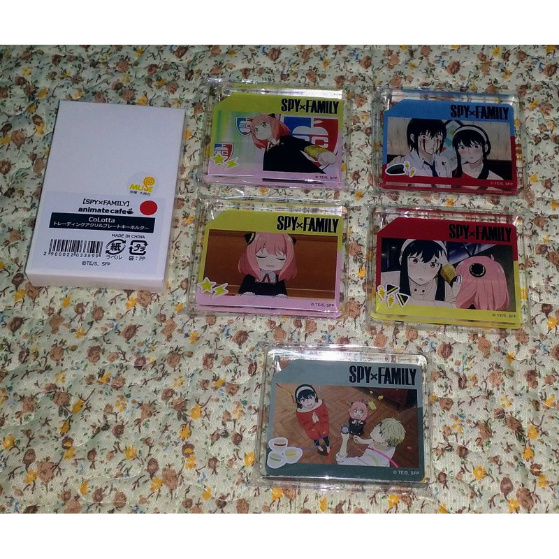 現貨 animate cafe 間諜家家酒 CoLotta 分售 安妮亞 約兒&尤利 約兒&安妮亞 洛伊德&安妮亞&約兒