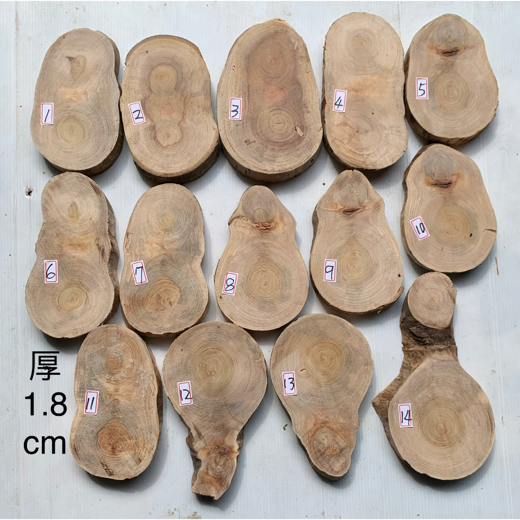 台灣櫸【紅雞油】原木年輪木片/隔熱墊茶壺墊/藝品盆景奇石陶藝擺設底座/木質墊片/雕刻裝飾用材