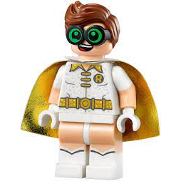 |樂高先生| LEGO 樂高 70922 蝙蝠俠玩電影 小丑莊園 DISCO 白羅賓 人偶單售 正版全新/可刷卡