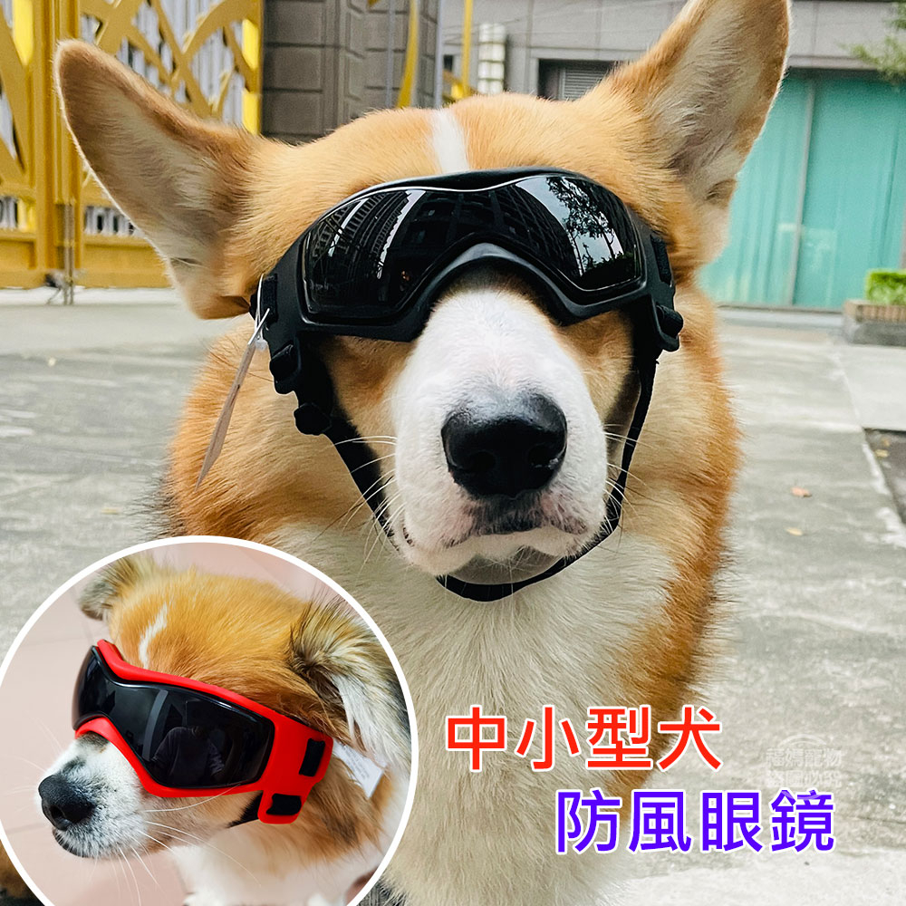 狗狗眼鏡 狗眼鏡 中小型犬 狗護目鏡 防風眼鏡 福媽寵物