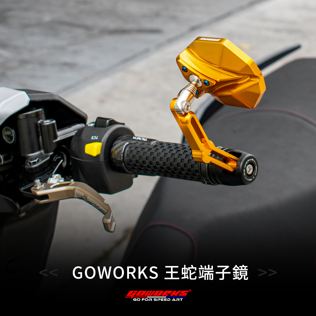 ⚇兵工廠⚇ GO WORKS 佐騰 PGO TIG 鋁合金 王蛇 端子鏡 水冷之王 後照鏡 照後鏡 通用 170 改裝