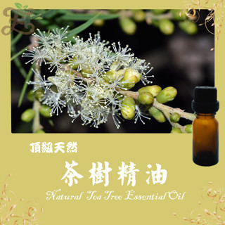 中國茶樹精油 頂級天然單方精油 草本提煉精華 Tea Tree Essential Oil