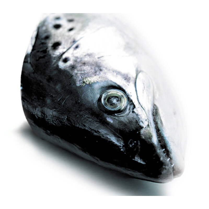 【水汕海物】北歐挪威 大西洋鮭魚 魚頭剖半處理(去鰓，含魚下巴)『實體店面、品質保證』