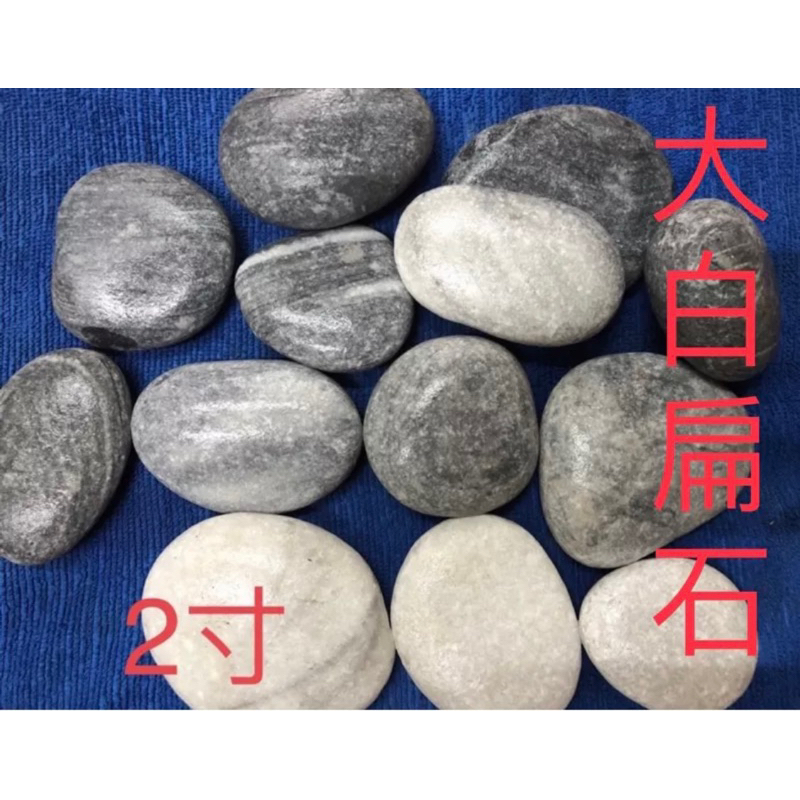 大白扁石，一包20公斤，免運費。圓扁石、花扁石、大白扁石、大白扁-2寸、3寸、4寸。造景石頭