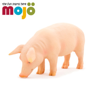 mojo fun動物模型-公豬