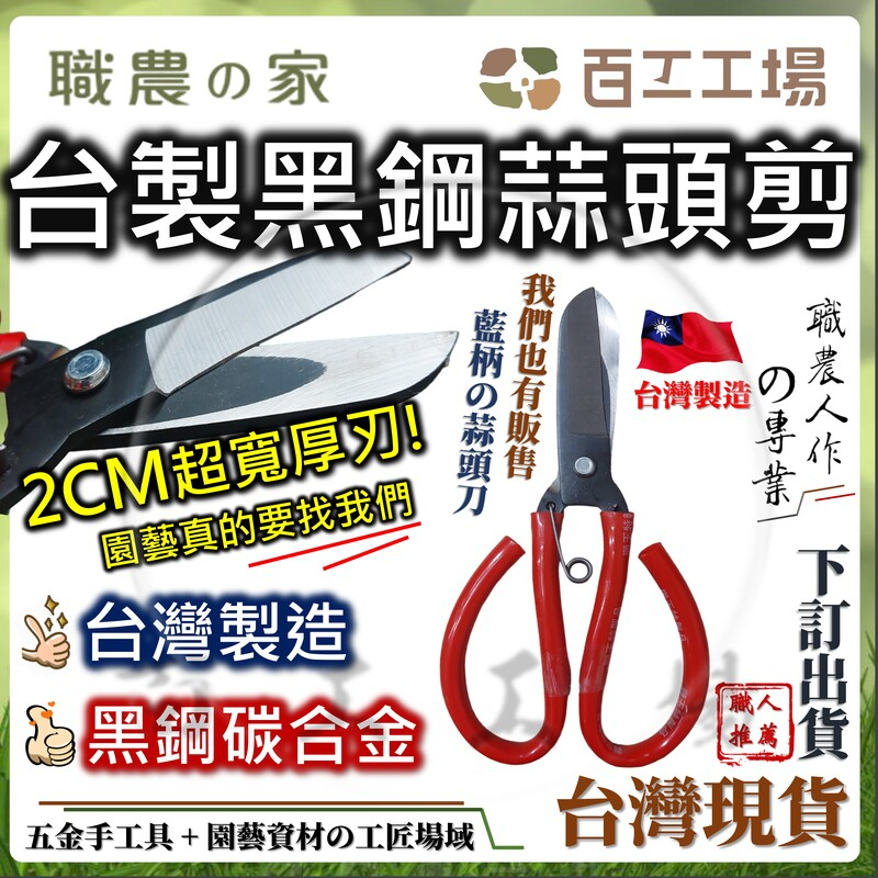 『百工工場』園藝剪刀 台製黑鋼蒜頭剪 台灣製造 19CM 工作剪 多功能 獅王蒜頭剪 蒜頭剪刀 芽切剪 園藝 多肉