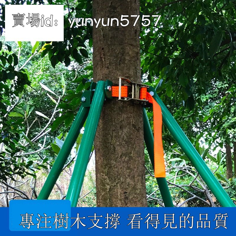 樹木支撐架 大樹支撐桿 緊帶式防風支架園林綠化鋼管支撐