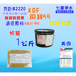 【七星淨水】KDF-55銅鋅合金地下水沐浴器新增除重金屬.淨水器.濾水器.過濾器(貨號:B2220)