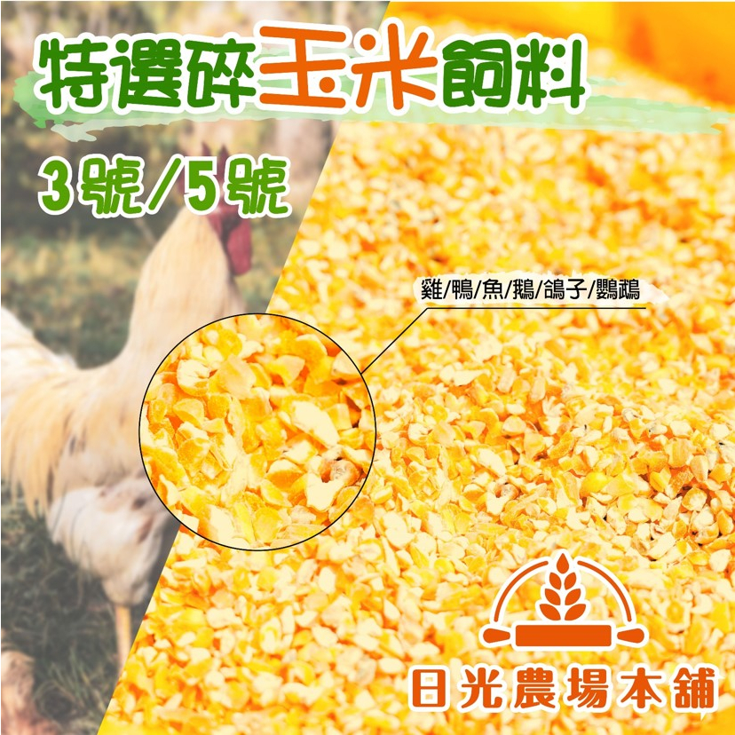 [批發配合] 玉米飼料 雞飼飼料 寵物飼料 碎玉米飼料 福有牌/ 福懋 真空包裝 鳥飼料 鴨飼料 鴿子 鸚鵡 3號 5號